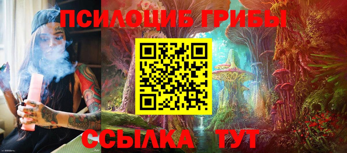 Псилоцибиновые грибы Psilocybe  Псилоцибиновые грибы мицелий  Вход с VPN  Кашира 