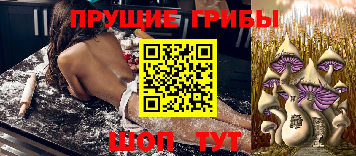 Псилоцибиновые грибы мухоморы Кашира